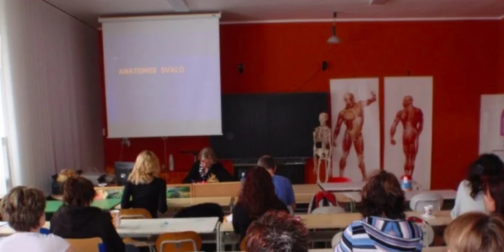 Naučte se novou profesi: rekvalifikační kurz masér nebo fitness trenér