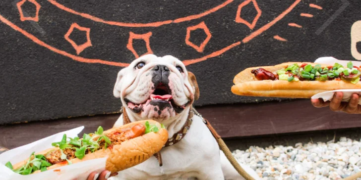 BBQ Hot Dog by Jackie: párek s 90 % masa v opečené bagetě a domácí limo