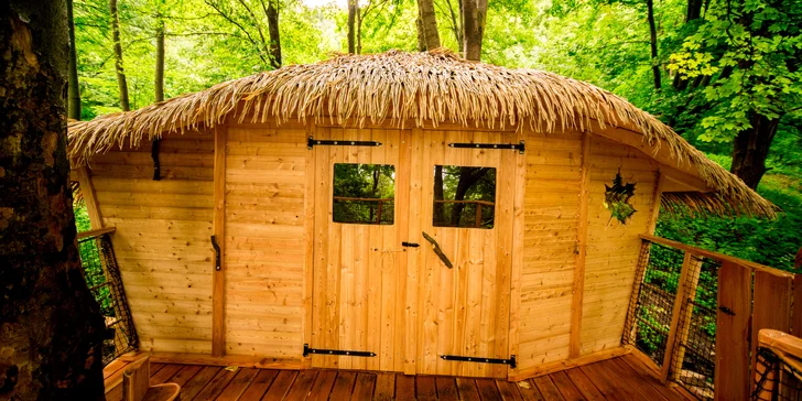 Romantika i dobrodružství: domek v korunách stromů a farmářská snídaně