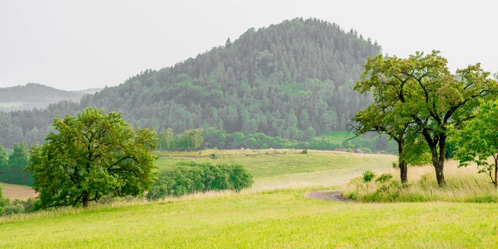 Romantika i dobrodružství: domek v korunách stromů a farmářská snídaně
