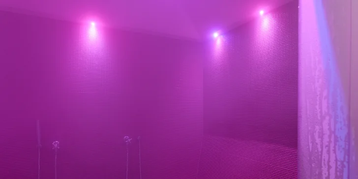 2 hodiny ve wellness a thajská masáž pro 1 nebo 2 osoby