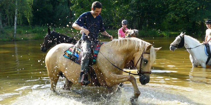 Vyjížďka na koni do přírody: 1 nebo 2 hodiny v sedle