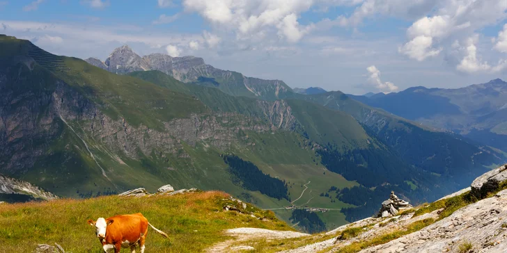 S rodinou do rakouských hor: 2–5 nocí, polopenze i neomezený wellness