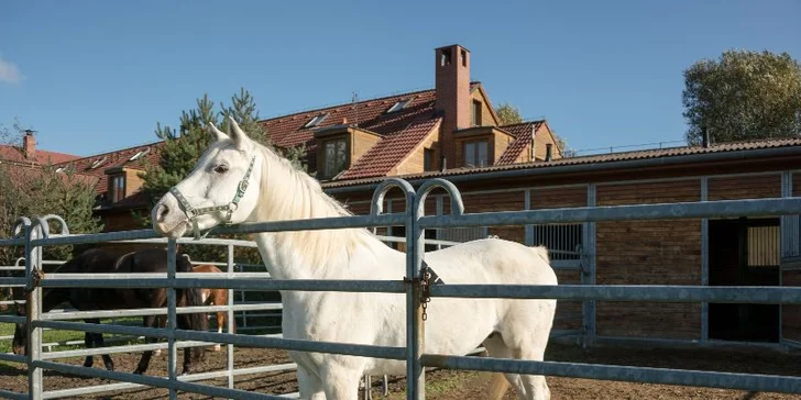 Rodinný pobyt na ranči Kostelany s kovbojskými zážitky: 3–4 dny s polopenzí