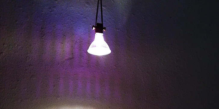 Vstupy do úžasného muzea miniatur pro dva i rodinu