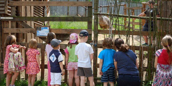 Celodenní vstup do Zooparku Zájezd: lemuři, chameleoni, surikaty i králíci