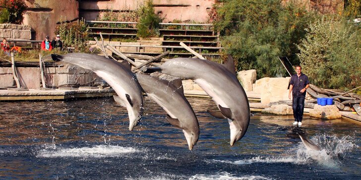 Super výlet pro rodiny s dětmi: zoo a delfinárium v Norimberku, možnost prohlídky města