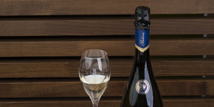 Degustační menu s vinným párováním pro 1 či 2: telecí paštika i tygří kreveta