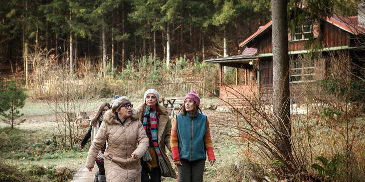 Vstupenka na film Chata na prodej v kině Lucerna