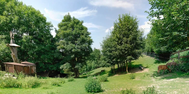 Relax v penzionu Hlušec: polopenze i vyjížďka v saních či kočáře s koňmi