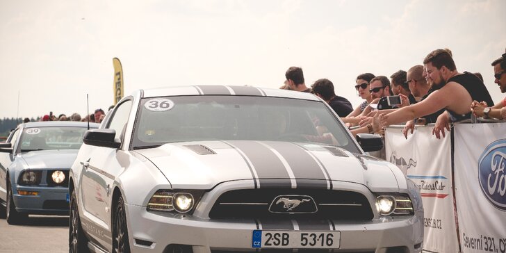 Usedněte do legendy: zapůjčení Fordu Mustang na 24 hodin