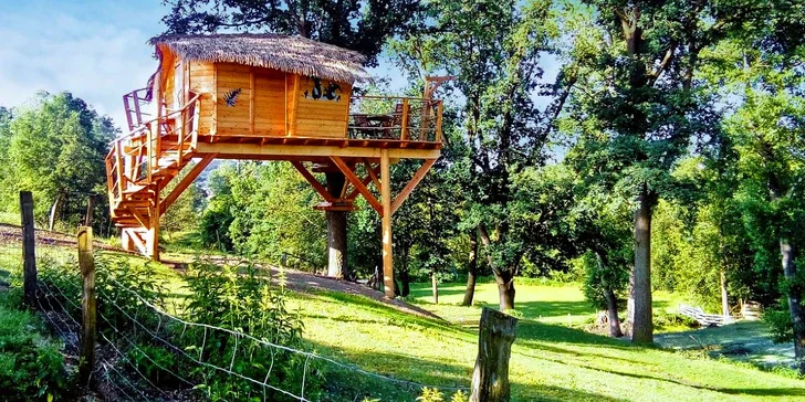 Noc v domku na stromě: úžasná romantika pro dva i nevšední zážitek pro děti
