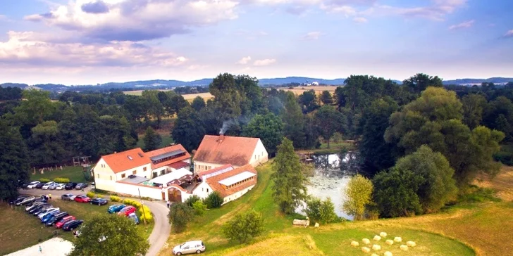 Noc v domku na stromě: úžasná romantika pro dva i nevšední zážitek pro děti