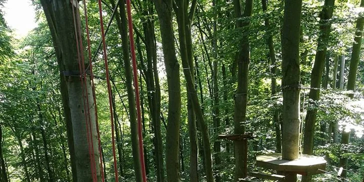Vstup do lanového centra na velký okruh pro dospělého