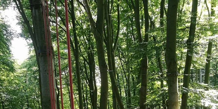 Vstup pro dospělého do lanového centra i na expozici Zámecký okruh na zámku Zbiroh