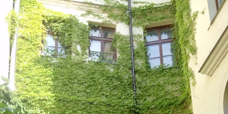 Odbourejte stres a napětí při terapii Access Bars® v délce 60 minut