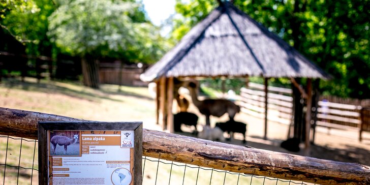 Celodenní vstupné do Zooparku Zájezd: lemuři, opičky, lamy, surikaty i králíci