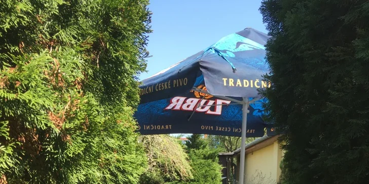 Tatarák a Cheese Chicken Burger s domácími chipsy v Myslivně