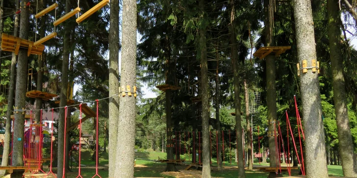 3denní pobyt kousek od rybníka: polopenze, wellness i lanový park u hotelu