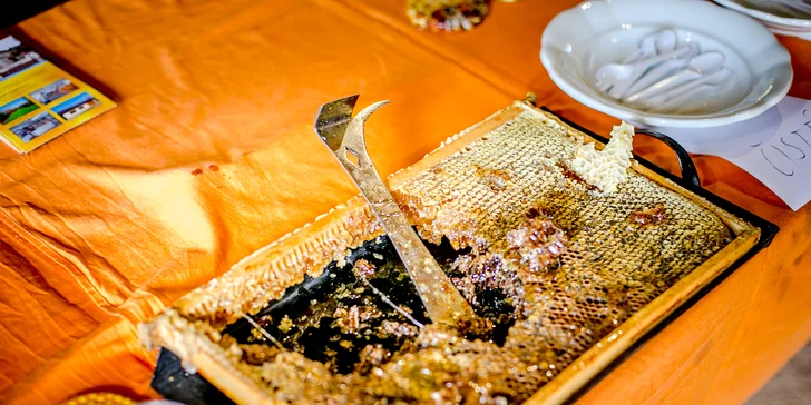 Rodinné vstupné na Řemeslné pohádkové léto ve skanzenu v Kouřimi