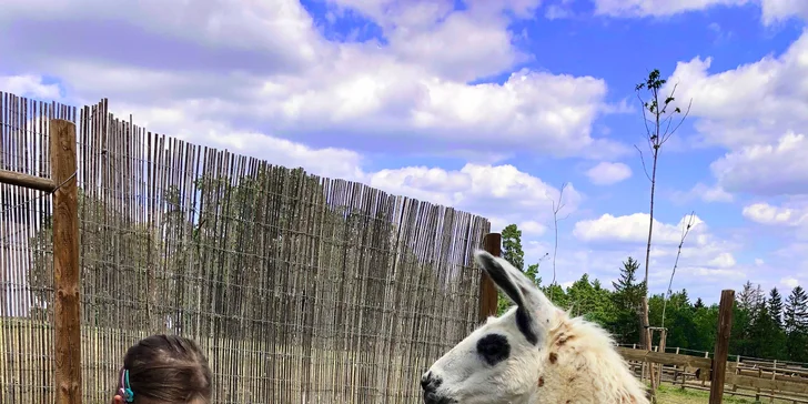 Zvířátka od ar po zubry: vstupné do zoologické zahrady v Táboře