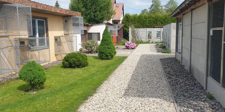 Prohlídky se účastní minimálně 4 osoby. 
