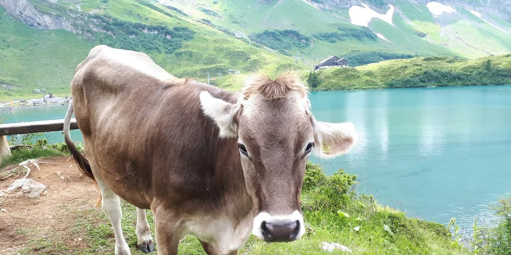 Švýcarské dobrodružství: Visutý most na Titlisu, Engelberg a historický Luzern