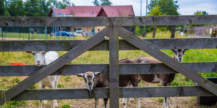 Moderní srub u rybníka kousek od Kutné Hory: polopenze, příroda i exkurze