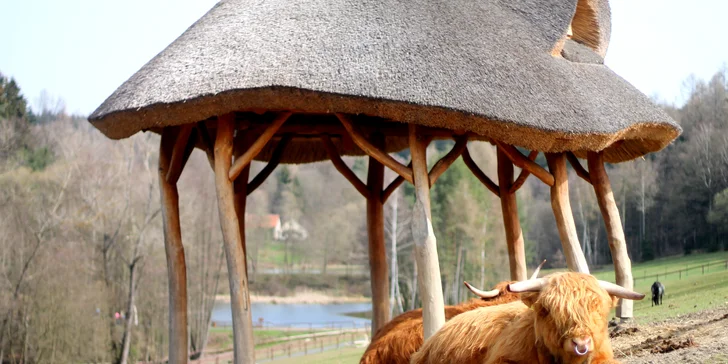 Farmapark pro jednotlivce i rodiny: krmení zvířátek a spousta atrakcí