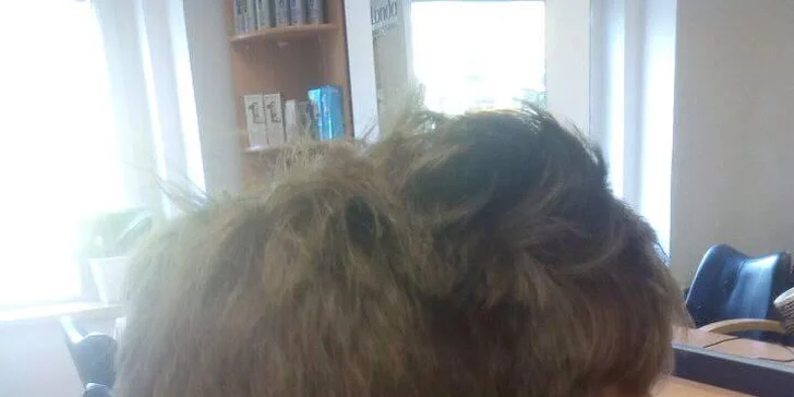 Profesionální barber střih od vlasové stylistky pro pány