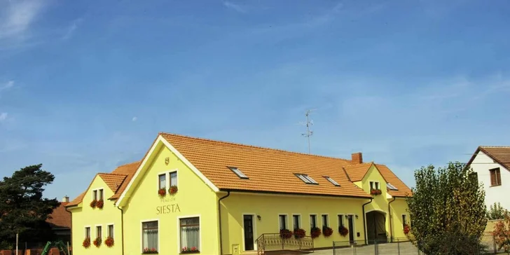 Vyrazte za dobrým vínem: penzion ve Valticích, apartmán s vířivkou, snídaně