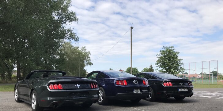 Za volantem legendy: půjčte si kabriolet Ford Mustang na den i víkend