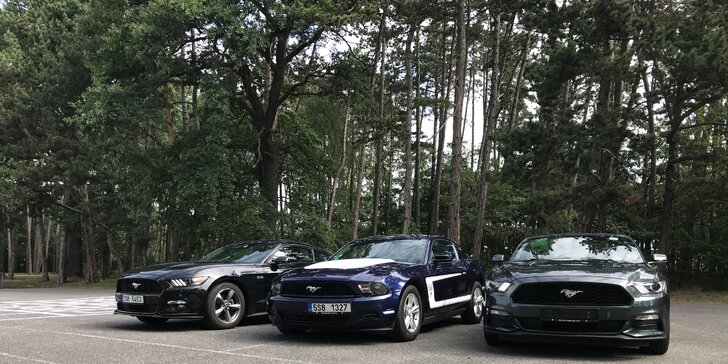 Legendární dárek: zapůjčení Fordu Mustang kabriolet 2016 na den i na víkend