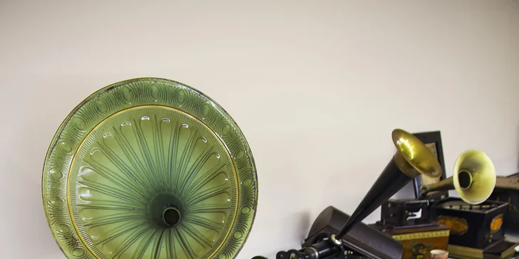 Muzeum mechanické hudby - Nostalgic Museum: studenti, dospělí i rodina