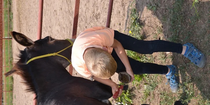 Oslí trek: 1–2hodinová rodinná vyjížďka s oslíky po přírodním parku