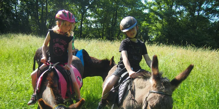 Oslí trek: 1–2hodinová rodinná vyjížďka s oslíky po přírodním parku