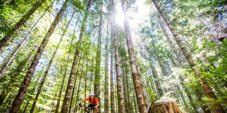 Wellness pobyt pro páry i rodiny v lázeňském městečku v polských Karpatech