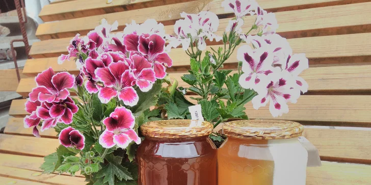 Ochutnáte med, děti medovou limonádu a dospělí třeba medovinu.