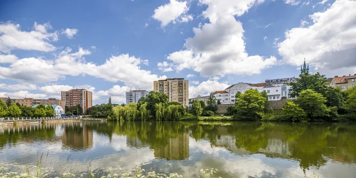 Jen pár metrů od hotelu začíná krásná obora.