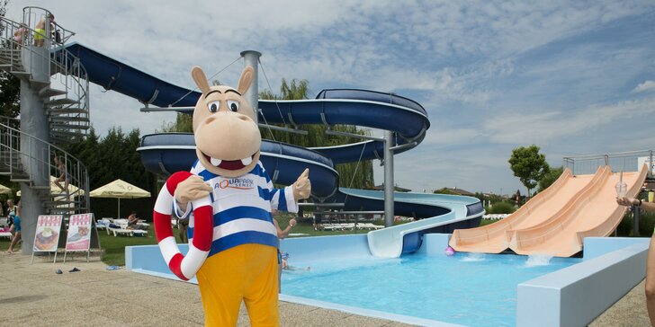 Letní dobrodružství v Aquaparku Senec: celodenní vstupy pro děti i dospělé