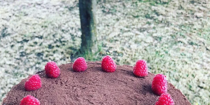 Luxusní sladké potěšení: bezlepkové dorty, cupcaky, mousse, brownies aj.