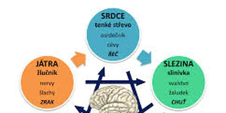 Detoxikační metoda MUDr Jonáše