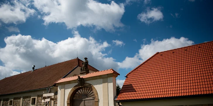 Okolí láká k výletům, prozkoumejte třeba geopark Ralsko. 