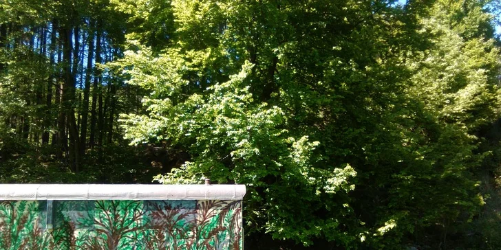 4 nebo 7 dní meditace: Terapie tmou s konzultacemi a celodenní stravou