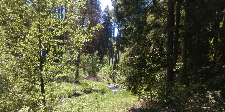 4 nebo 7 dní meditace: Terapie tmou s konzultacemi a celodenní stravou