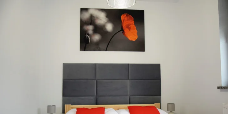 V nabídce je apartmán s jednou nebo se dvěma ložnicemi. 