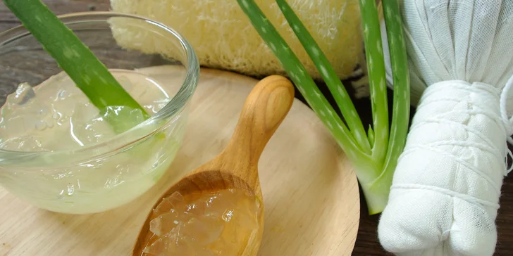 Thajská aloe vera masáž: osvěžení i péče o pokožku zároveň
