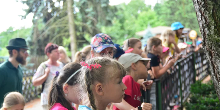 Komentovaná prohlídka zookoutku Chuchle i s krmením zvířat