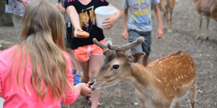 Komentovaná prohlídka zookoutku Chuchle i s krmením zvířat