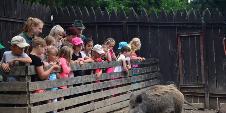 Komentovaná prohlídka zookoutku Chuchle i s krmením zvířat